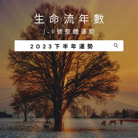 2023生命靈數流年1